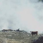 Свалка загорелась недалеко от Гейзерного озера на Алтае