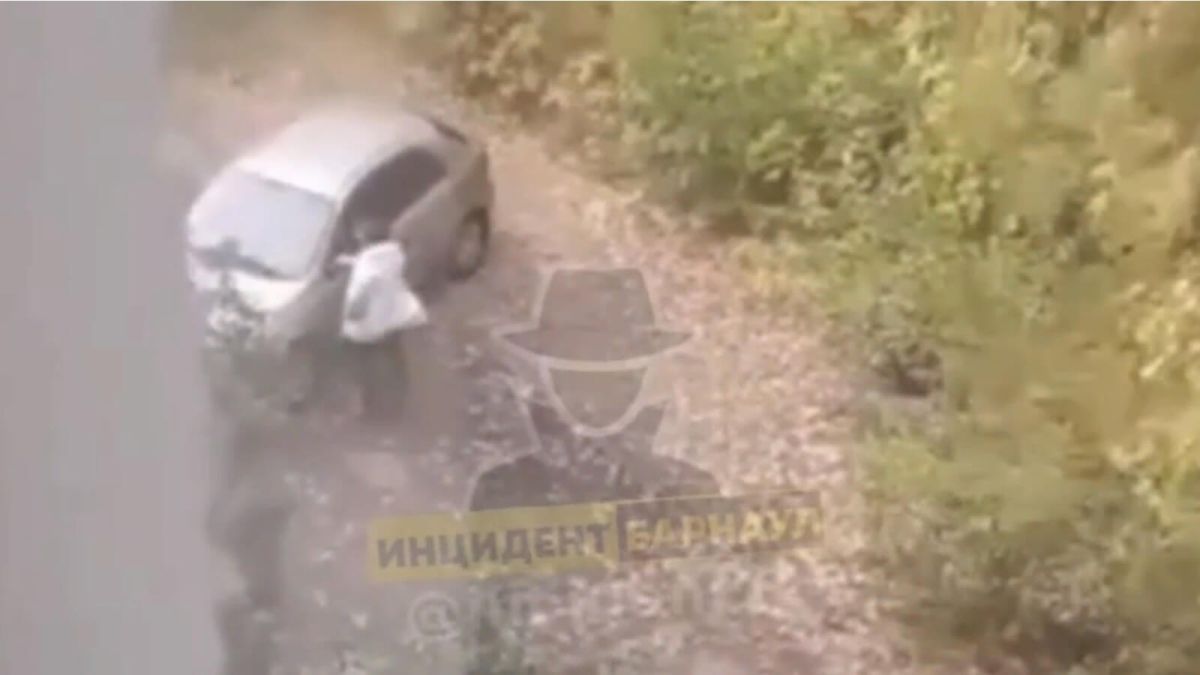 Нетрезвая жительница Барнаула отказалась платить таксисту и избила его сумкой