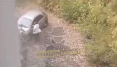 Нетрезвая жительница Барнаула отказалась платить таксисту и избила его сумкой