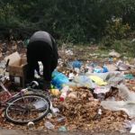 Сдаем мусор собакам. Жители алтайских сел жалуются на вывоз отходов