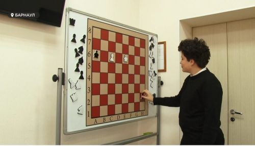 Шах и мат: шахматисты края начали подготовку к Кубку Алтая