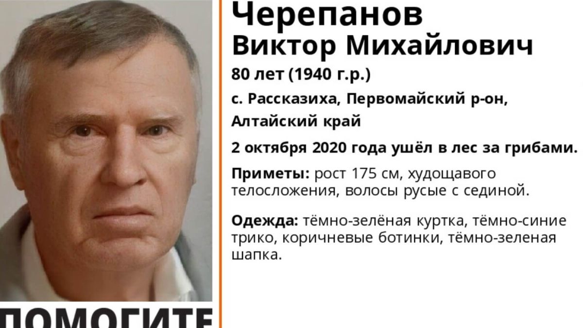 В Алтайском крае разыскивают 80-летнего грибника из Рассказихи 