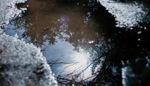 От +4 и мокрый снег: в Алтайский край пришла непогода