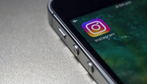 Аккаунт минприроды края в Instagram забанили из-за накрутки подписчиков