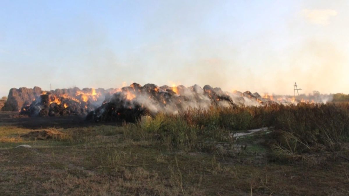 Алтайские школьники сожгли сено на миллион рублей 