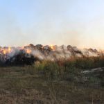 Алтайские школьники сожгли сено на миллион рублей