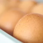 Российские прилавки могут заполнить турецкие яйца