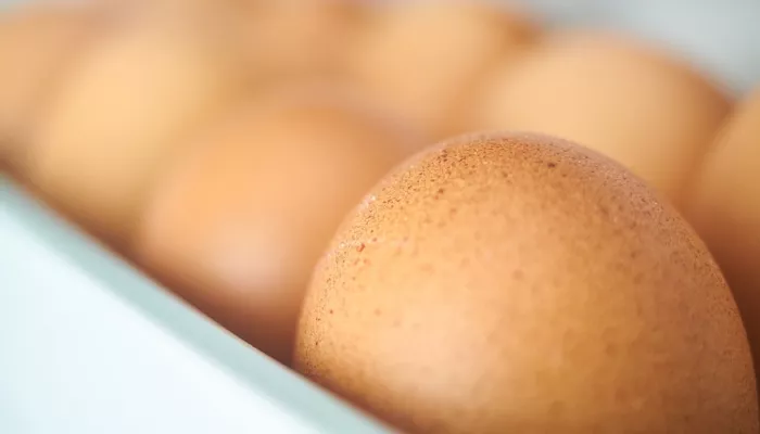 Как готовить яйца, чтобы не подхватить инфекцию, и сколько их можно хранить