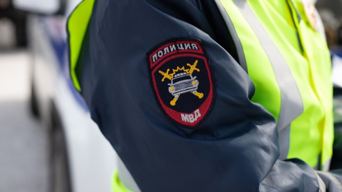 Лицом в асфальт: трех мужчин задержала полиция в Барнауле