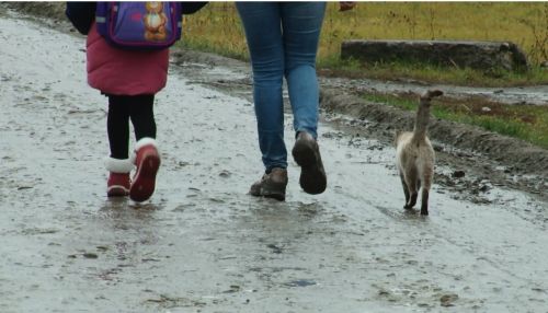 Жители алтайского посёлка остались без дороги, автобуса и освещения
