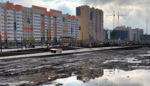 Не сесть в лужу: есть или нет озеро у нового сквера в Барнауле