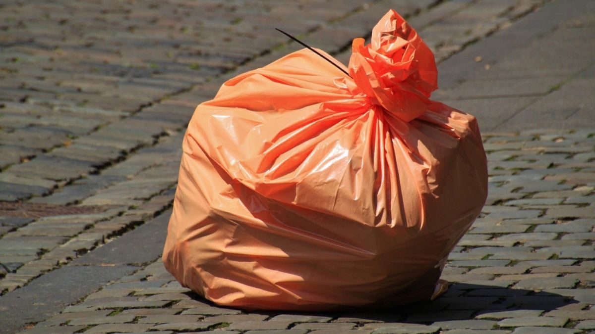 Алтайский край занял 29-е место в рейтинге самых "мусорящих" регионов РФ