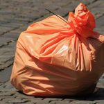 Алтайский край занял 29-е место в рейтинге самых мусорящих регионов РФ
