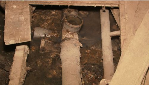 Фекальные реки: квартиры в барнаульском доме три месяца утопают в канализации