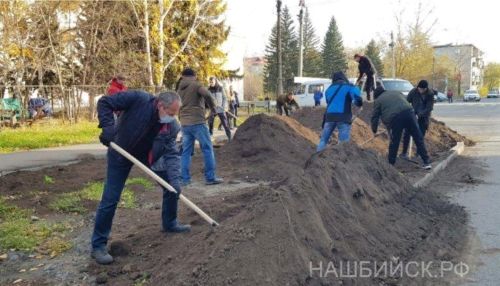 Выздоровевший от ковида бийский мэр отправился копать газон