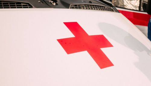 В Алтайском крае автомобиль сбил подростка и девушку на зебре