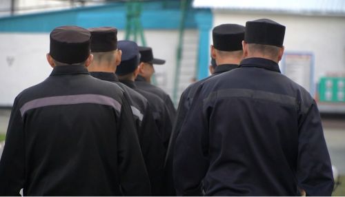 Наркодилеры активизировались в Алтайском крае из-за пандемии