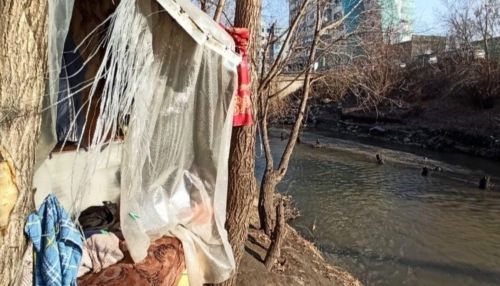 Барнаульцы просят помочь мужчине, который живет в шалаше на берегу реки