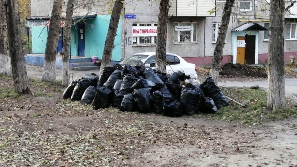 За последний месяц в Барнауле убрали 40 мусорных свалок