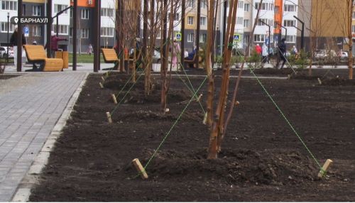 Барнаульцы недовольны новым сквером на Ускова - Взлётной