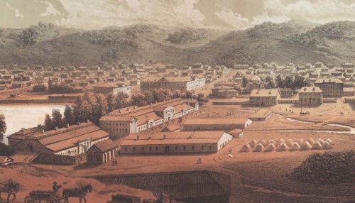 Молитвы и травки: как Барнаул боролся с эпидемиями в 18 веке