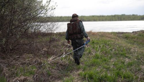 В Алтайском крае из реки Алей выловили мужской труп