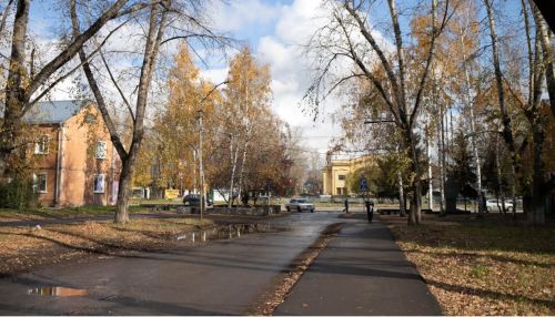 До +5 градусов потеплеет 3 ноября в Алтайском крае