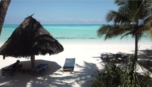 Что предлагают жителям края туристические агентства на Новый год