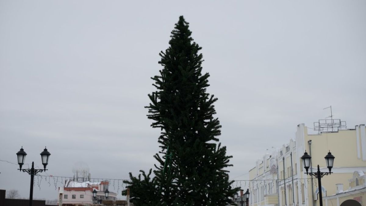 Новогодние елки отменят в Алтайском крае из-за сложной эпидситуации