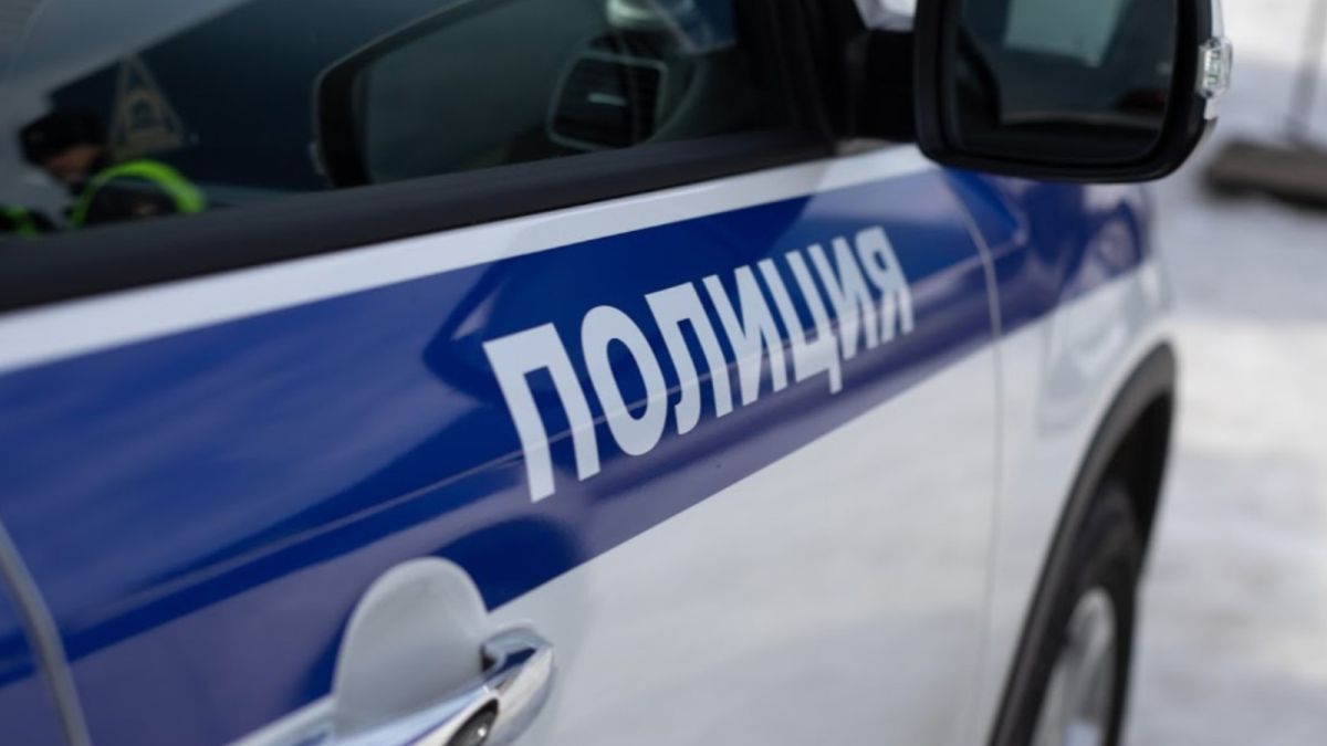 Резня в Подмосковье: неизвестный убил двух женщин и ранил шестилетнюю девочку