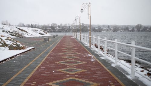 Мокрый снег и похолодание ожидаются в Алтайском крае 12 ноября