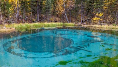 Гейзерное озеро на Алтае предлагают сделать памятником природы