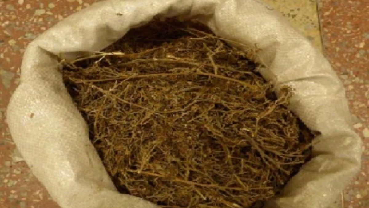 Полицейские нашли у бийского водителя девять килограммов марихуаны