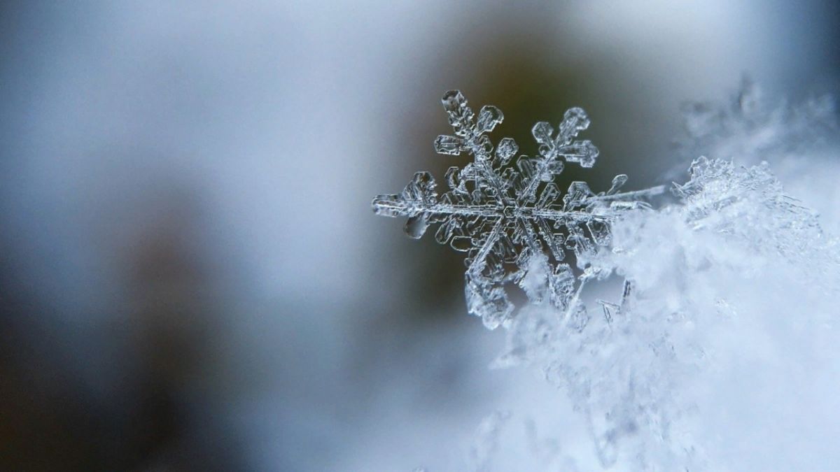 Пришла зима: до -14 градусов похолодает на Алтае в выходные