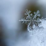 Пришла зима: до -14 градусов похолодает на Алтае в выходные