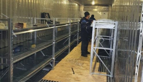 Рефрижератор для хранения трупов установили рядом с больницей в Барнауле