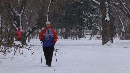 В барнаульских парках появятся лыжные трассы для горожан