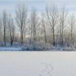 Синоптики рассказали о погоде в Алтайском крае во второй половине  ноября
