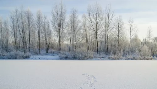 Потепление до +7 градусов придет 10 ноября в Алтайский край