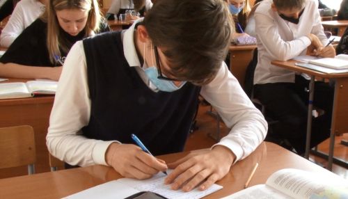 Алтайские школы смогут самостоятельно перейти на дистанционное обучение: мнения