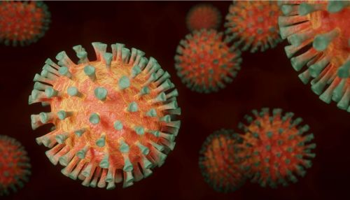 Роспотребнадзор: новая мутация коронавируса может появиться в Сибири