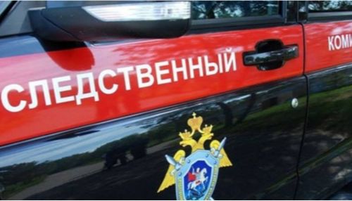 Следком сообщил подробности убийства двух детей в Москве