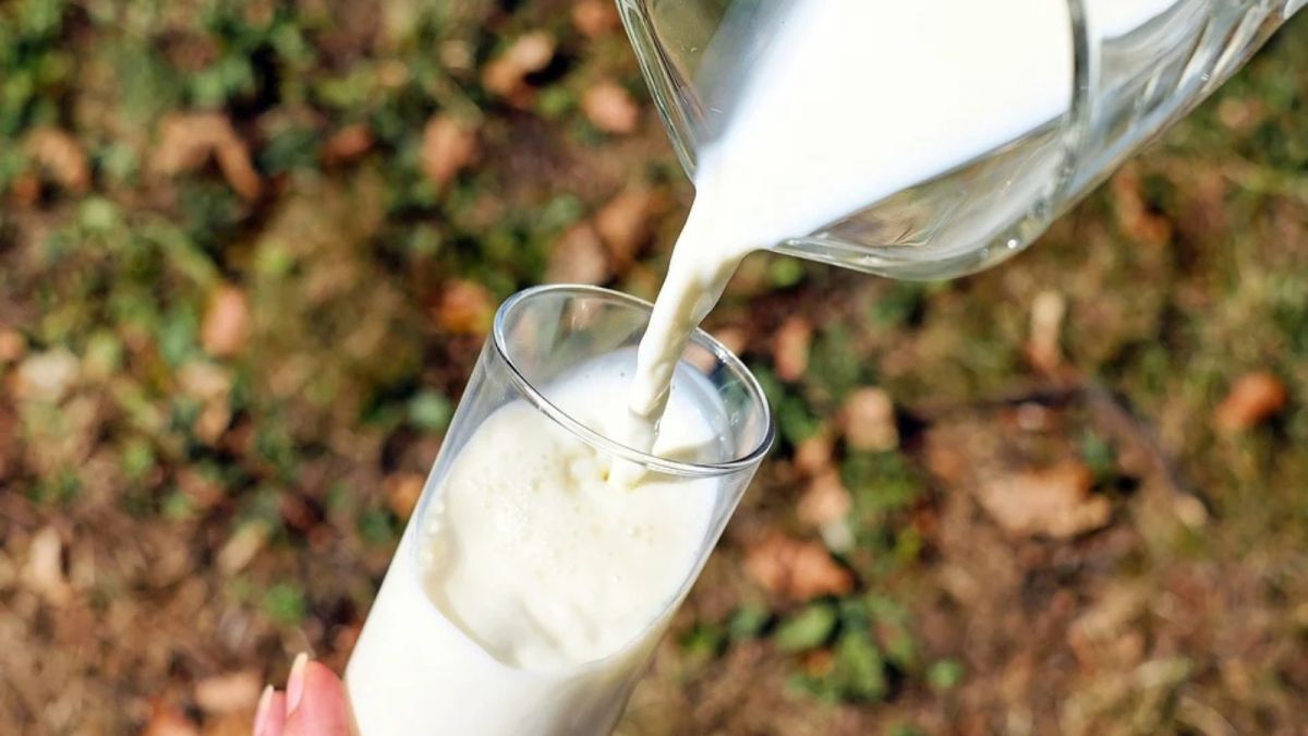 Диетолог опроверг миф о вреде молочки после 30 лет