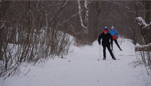 Любители лыж смогут кататься по новой трассе в барнаульском парке Юбилейный