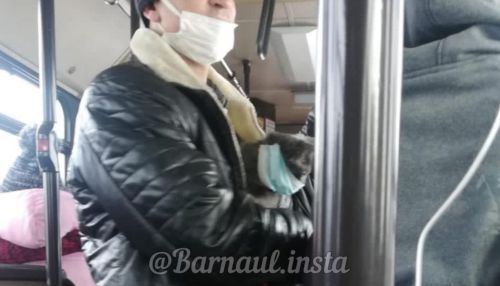 Хвостатого пассажира в маске заметили в автобусе Барнаула