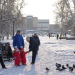 Мороз и солнце: в выходные в Алтайском крае установится ясная холодная погода
