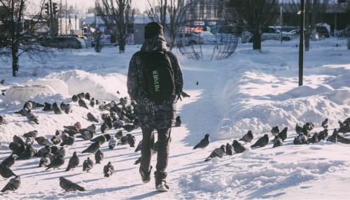 Синоптики дали прогноз на первую неделю декабря в Алтайском крае