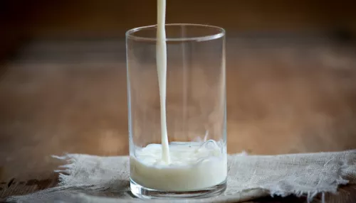 Селяне Алтайского края возмущены обрушением закупочных цен на молоко