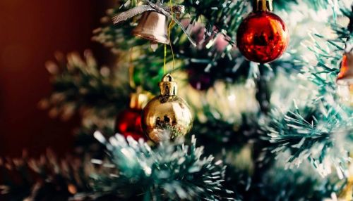 Эксперты выяснили, сколько барнаульцам придется заплатить за новогоднюю елку