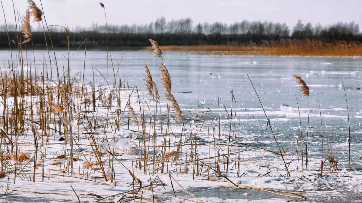 Иномарку подняли со дна замерзшего озера в Алтайском крае